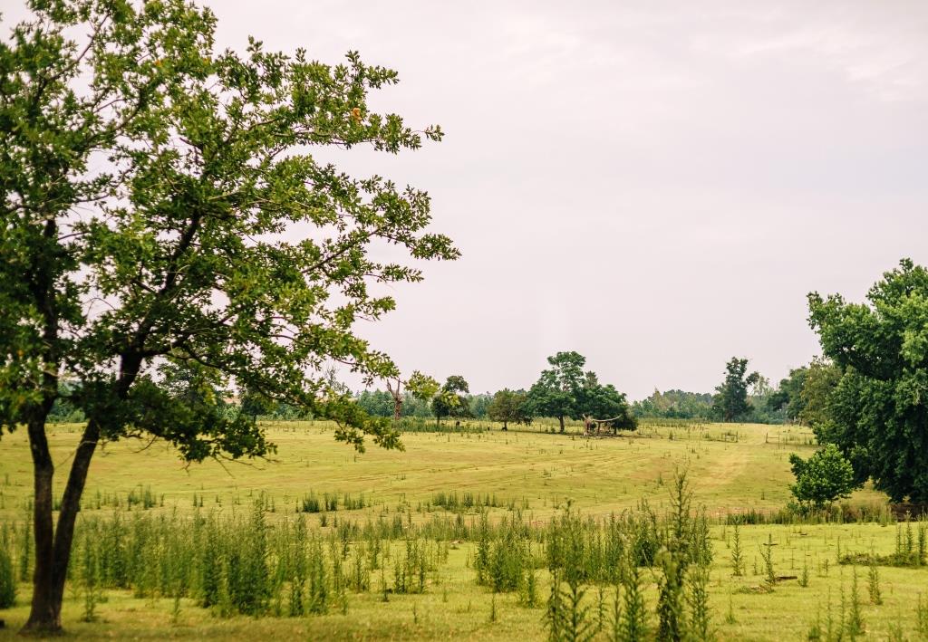 Part of Chickasaw Farm Photo