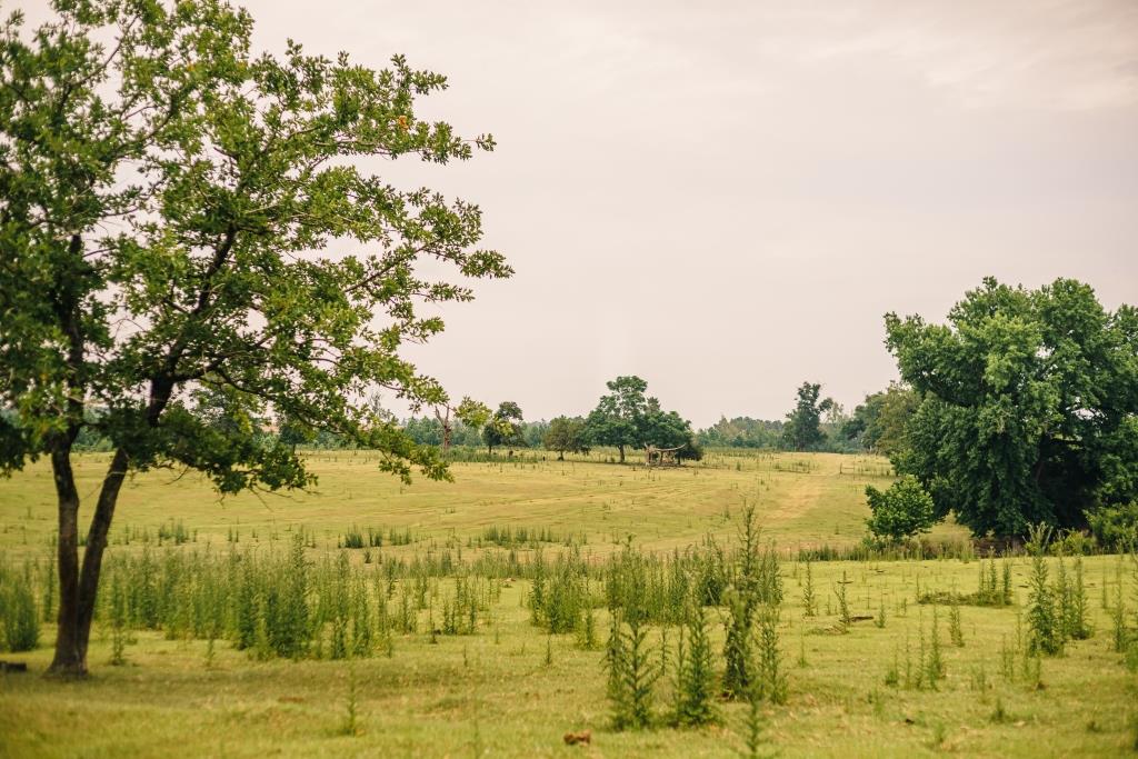 Part of Chickasaw Farm Photo