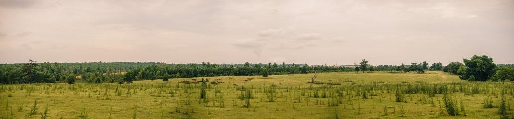 Part of Chickasaw Farm Photo