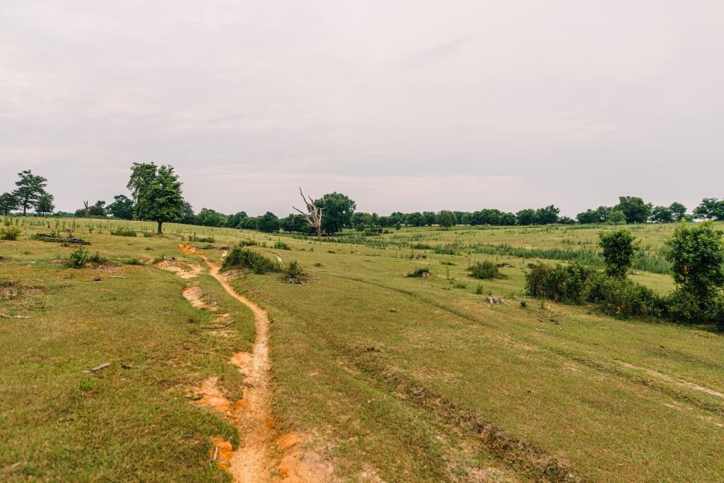 Part of Chickasaw Farm Photo