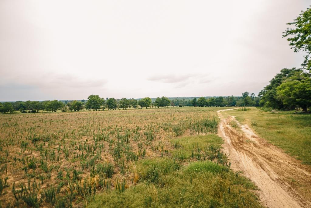 Part of Chickasaw Farm Photo