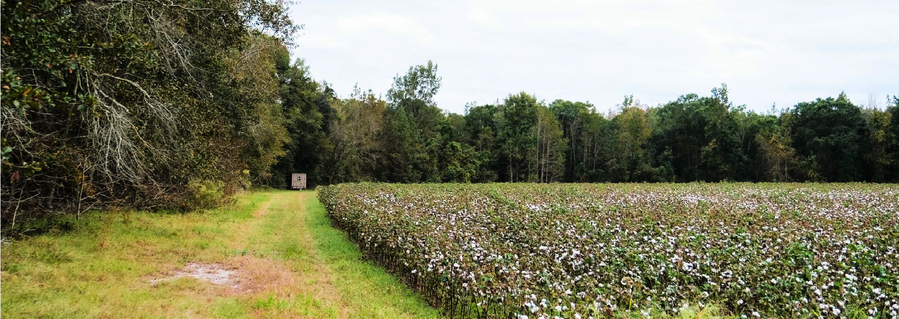 Baxter Durrence Farm Main Photo