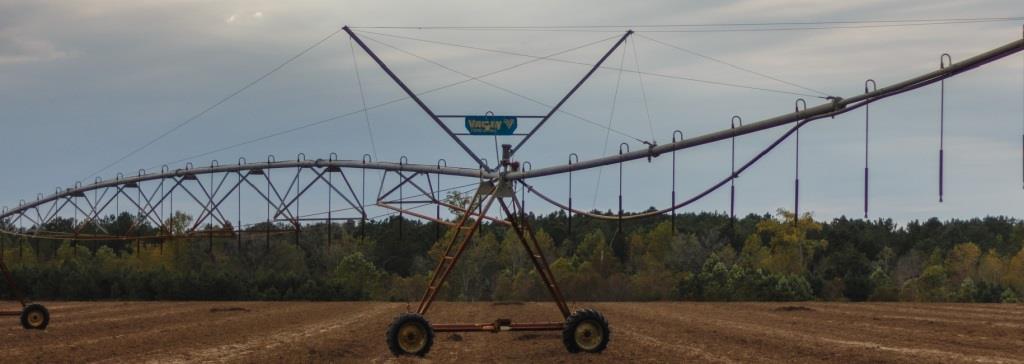 Bluebird Farm Photo