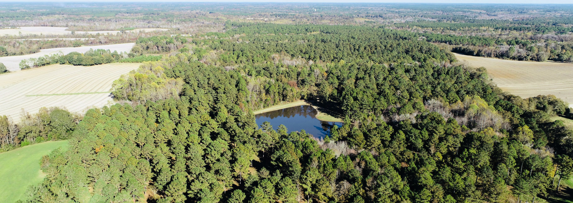 Bobwhite Pines Main Photo