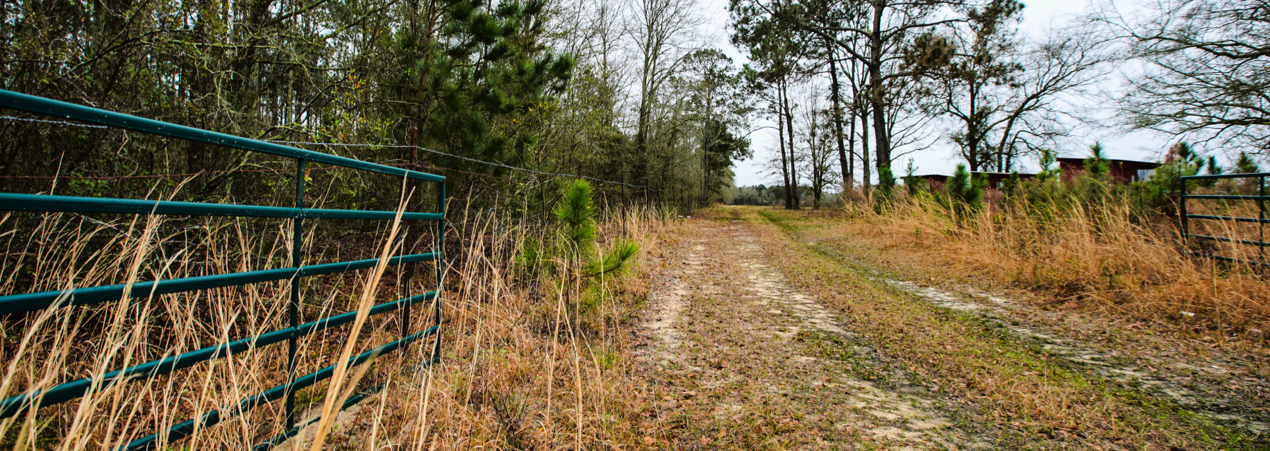 Brantley Farm Main Photo