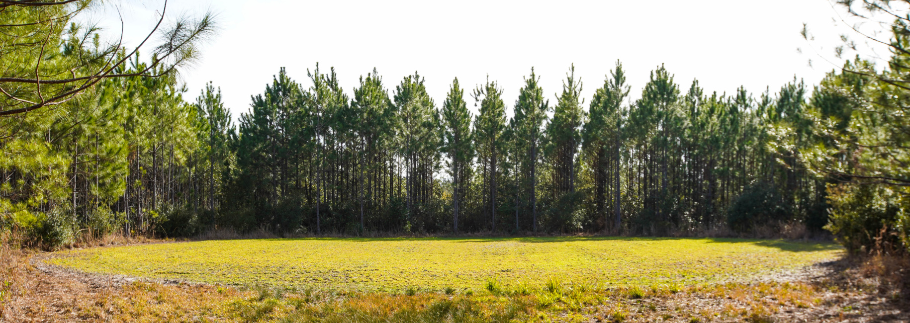 Cowpen Branch Main Photo