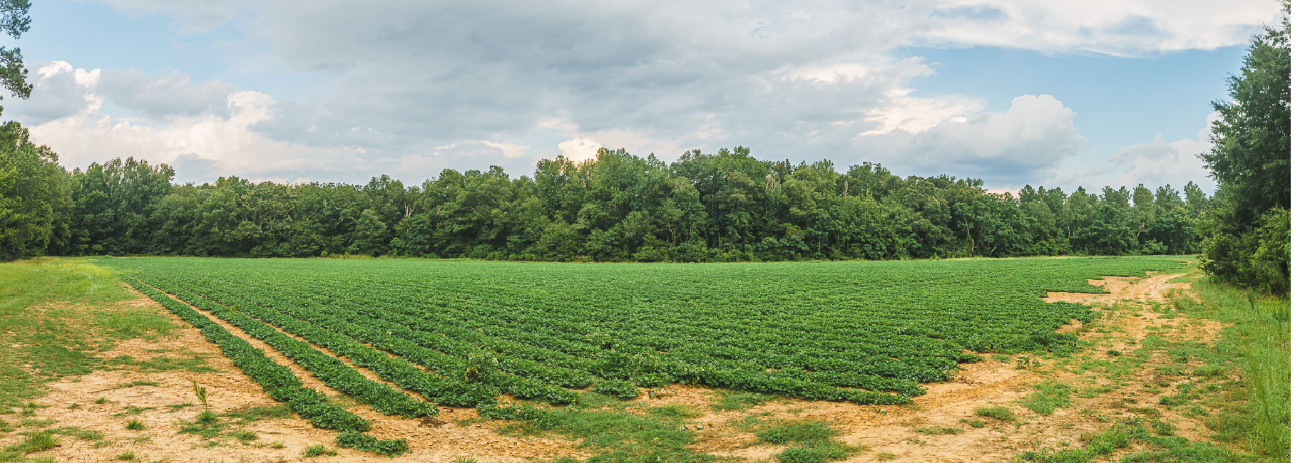 Drone Road Farm Main Photo