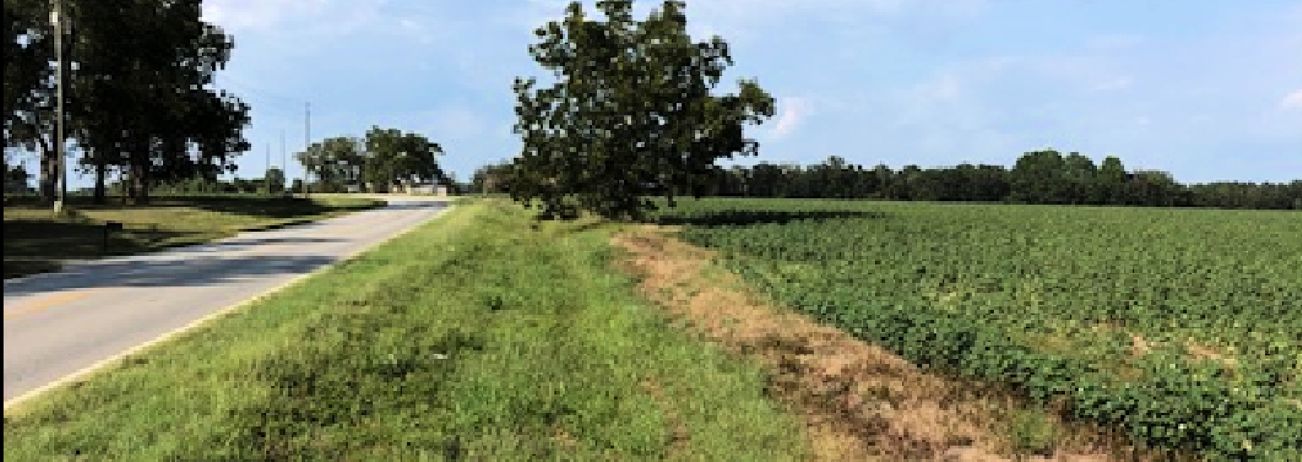 Harville Road – Tract 1 Main Photo