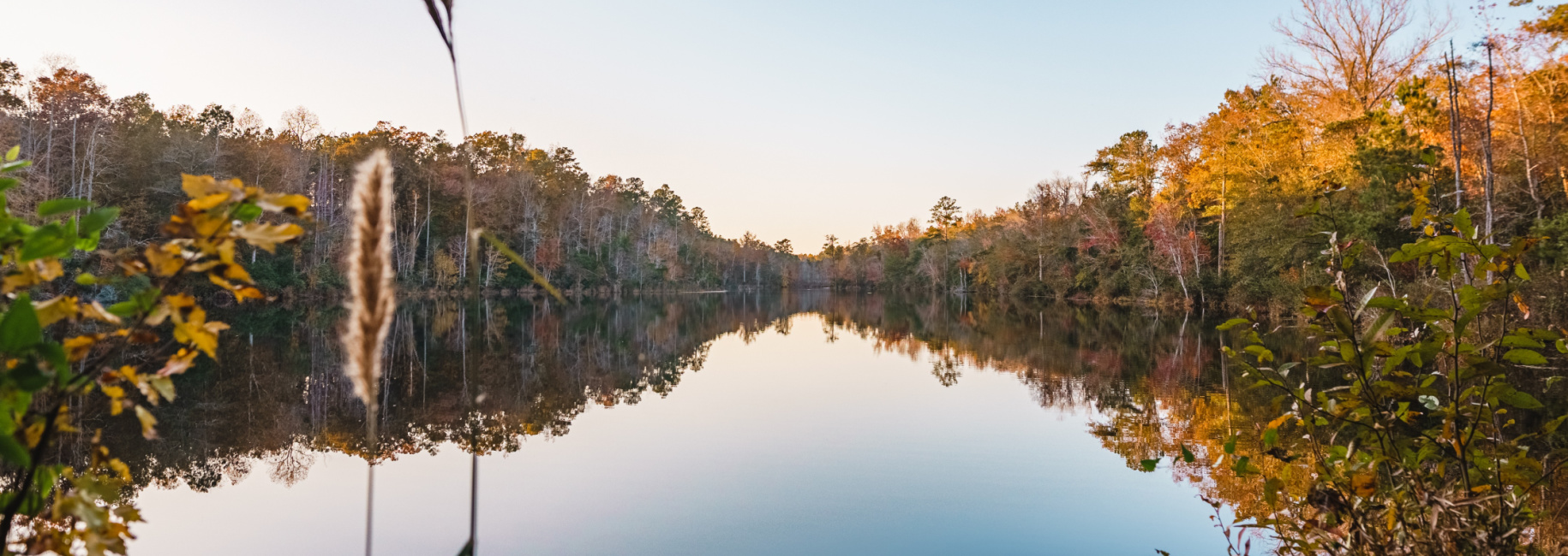 McBean Creek Timber Main Photo