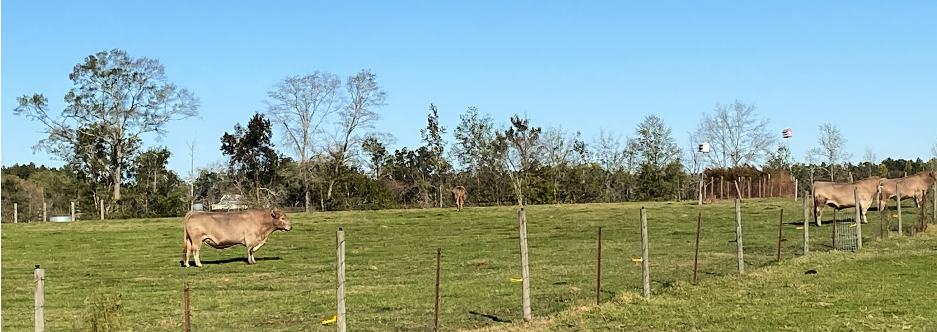 Seaborn Farm Main Photo