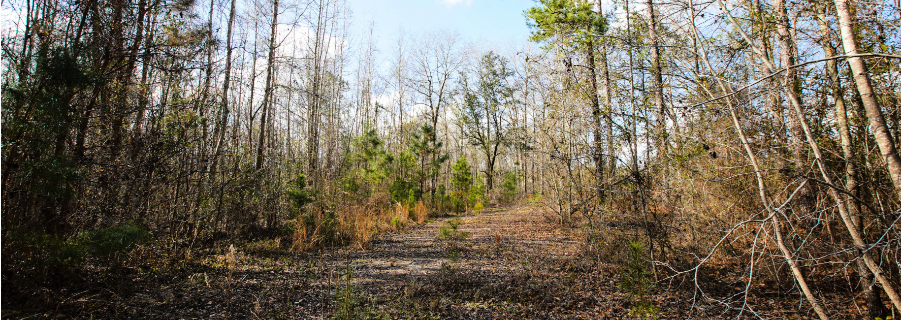 Westside Farm Tract 3 Main Photo