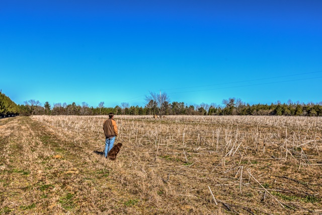 Tine & Feather Farms Photo