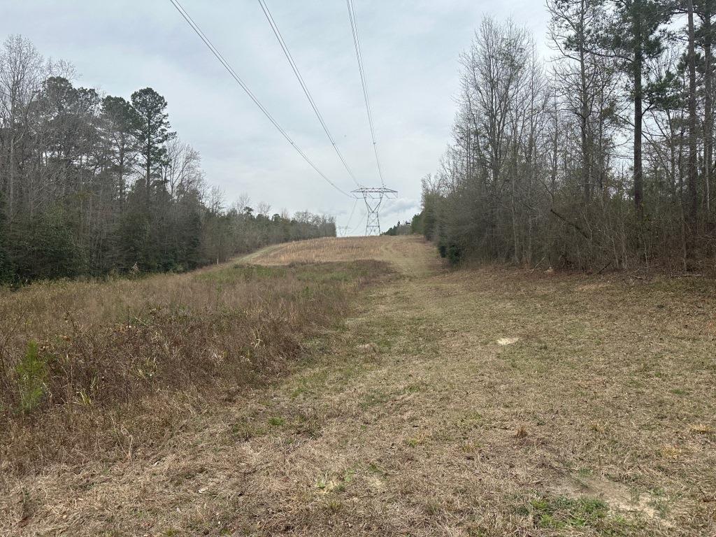 Griffin Landing Timber Photo