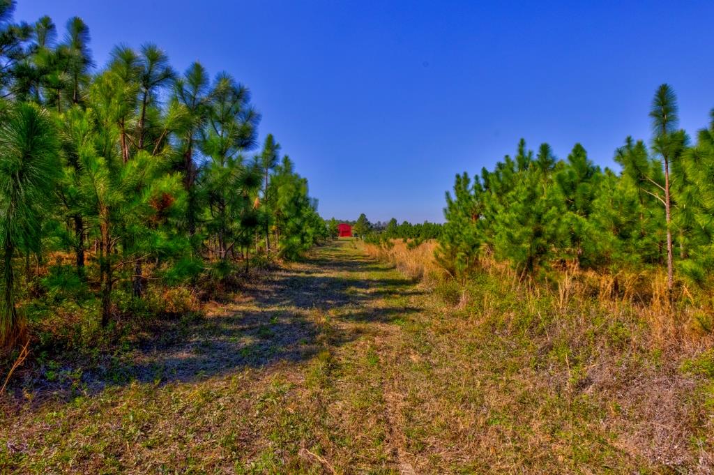 Toombs Mini Farm Photo