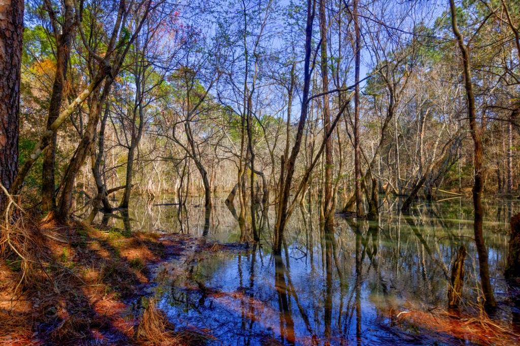 Toombs Mini Farm Photo