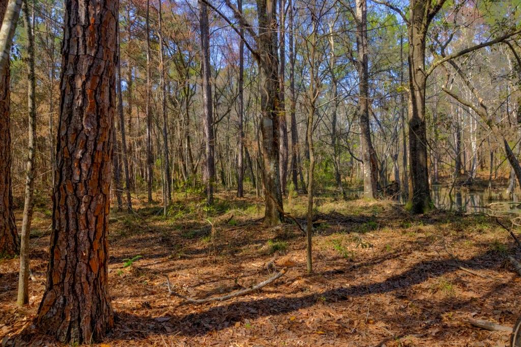 Toombs Mini Farm Photo