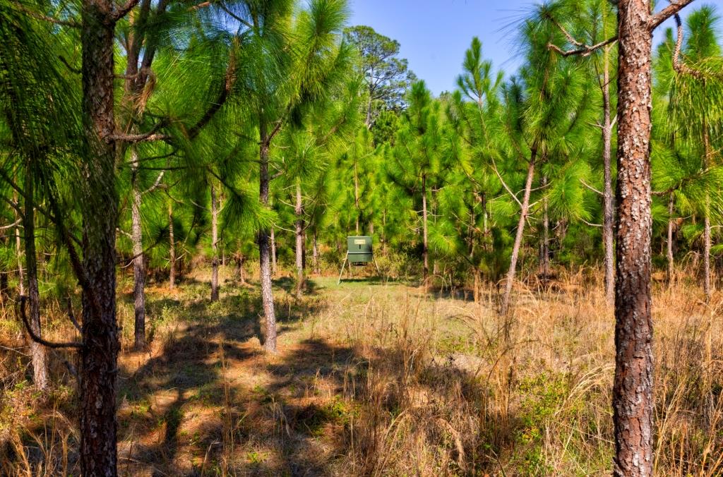 Toombs Mini Farm Photo