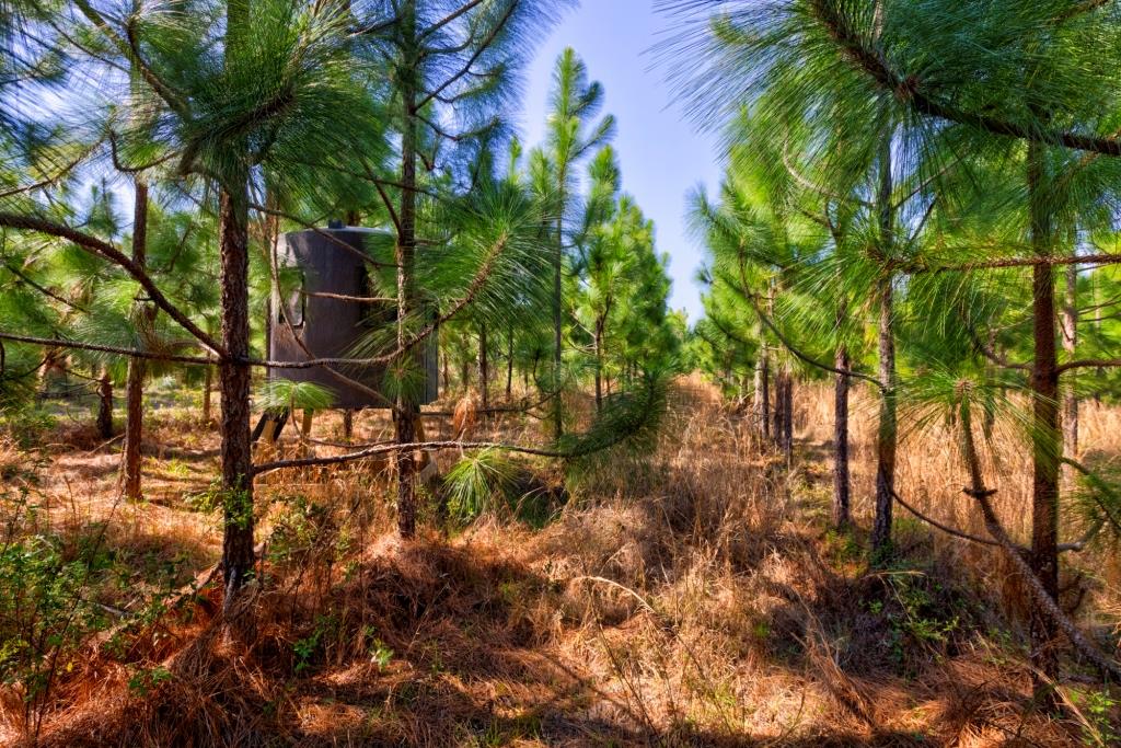 Toombs Mini Farm Photo