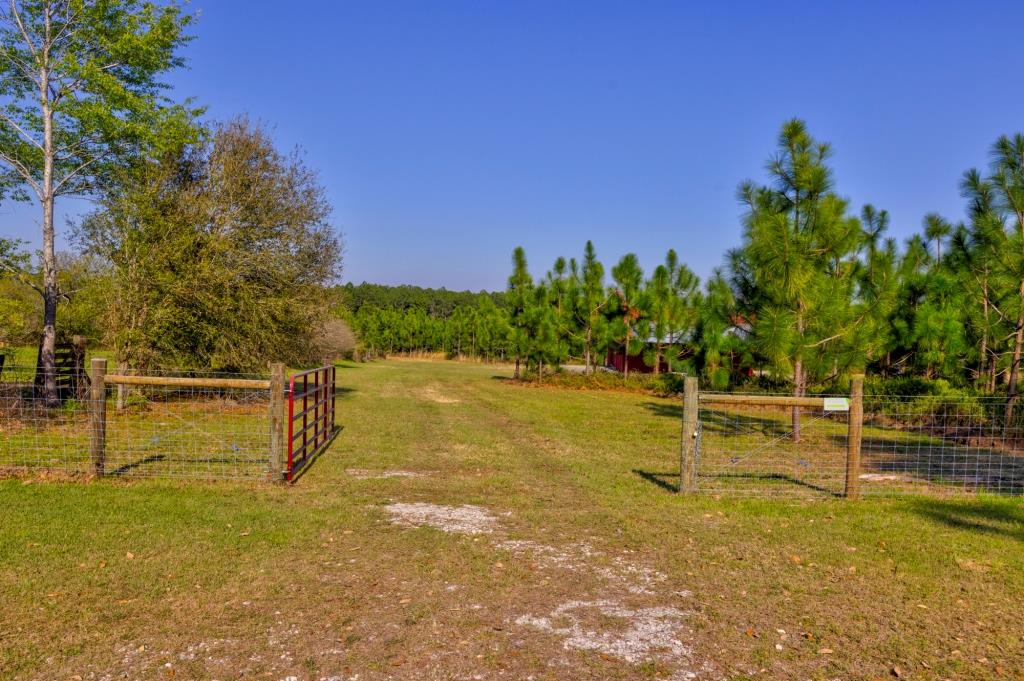 Toombs Mini Farm Photo