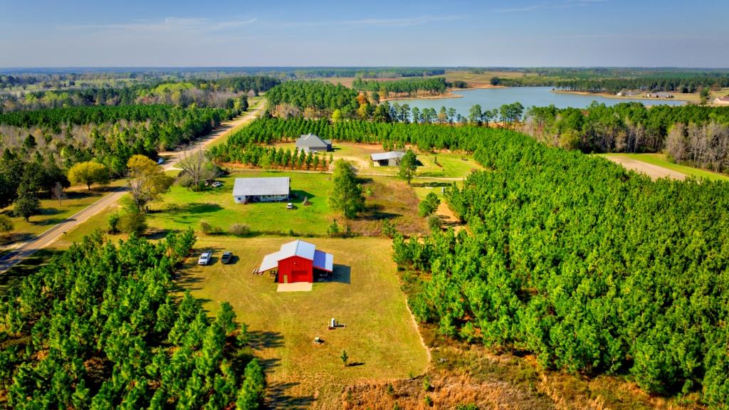 Toombs Mini Farm Photo