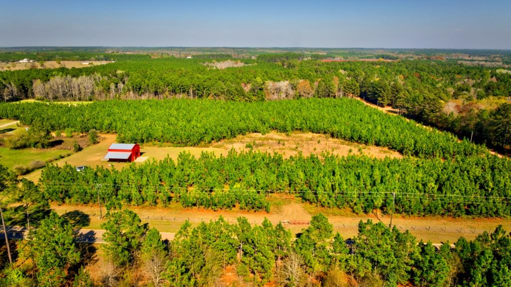 Toombs Mini Farm Photo