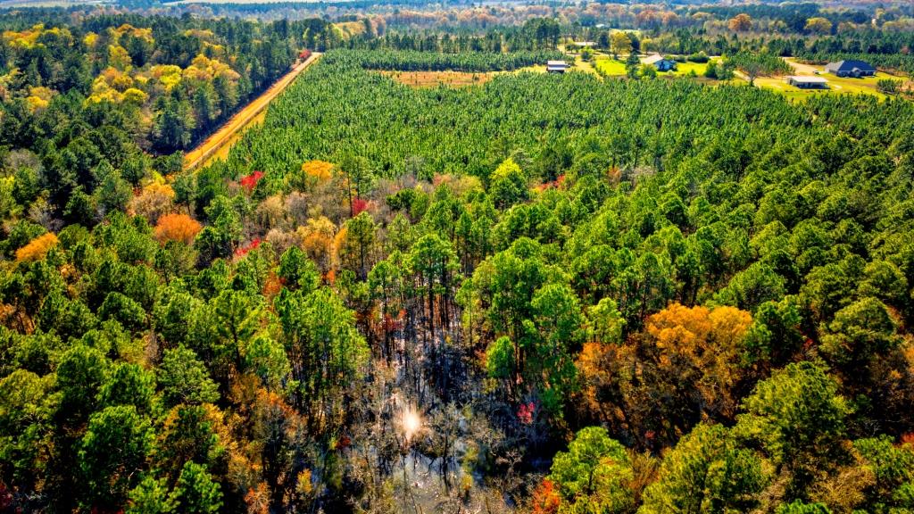 Toombs Mini Farm Photo