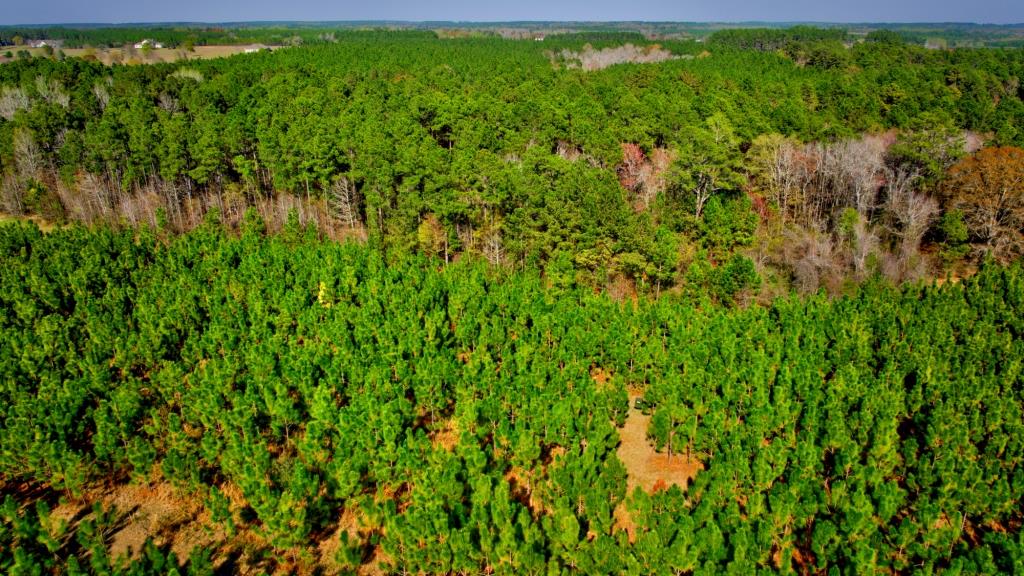 Toombs Mini Farm Photo