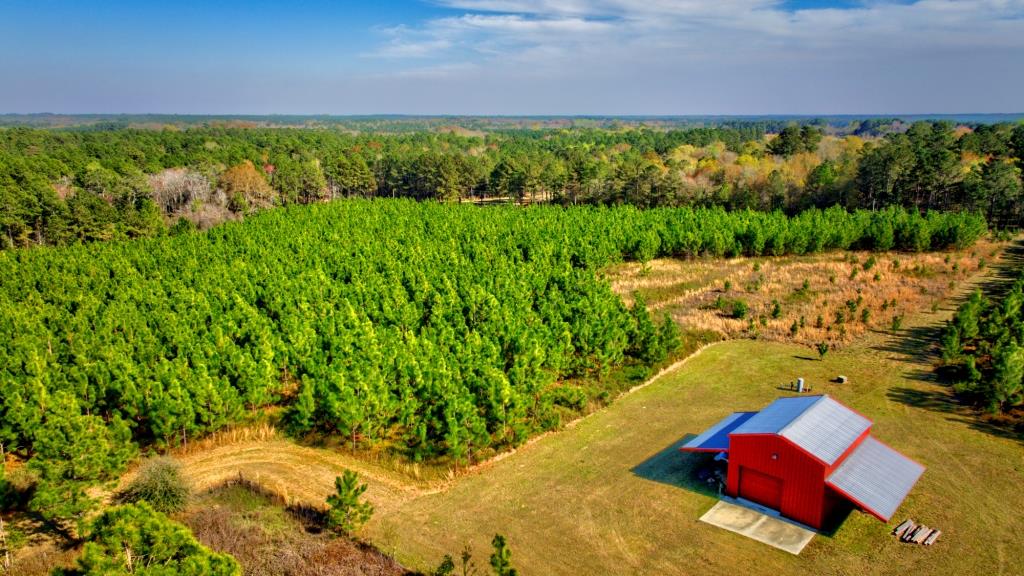 Toombs Mini Farm Photo