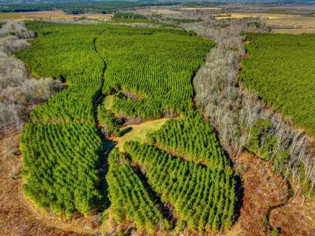 Tine & Feather Farms Photo