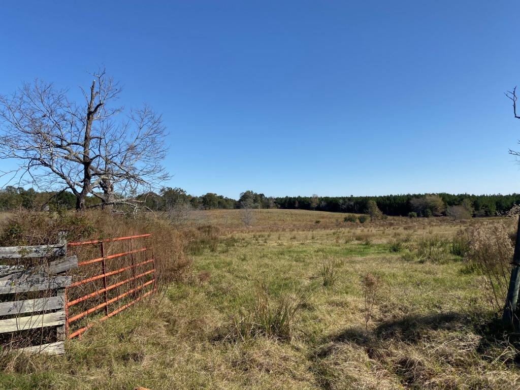 Quail Road Cattle Farm Photo