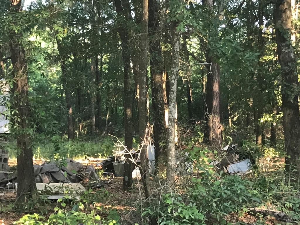 Screven Hunt Camp Photo