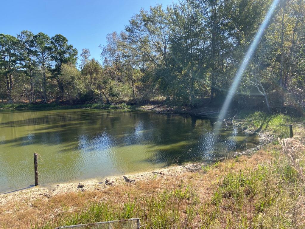 Quail Road Cattle Farm Photo