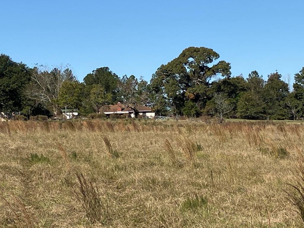 Quail Road Cattle Farm Photo