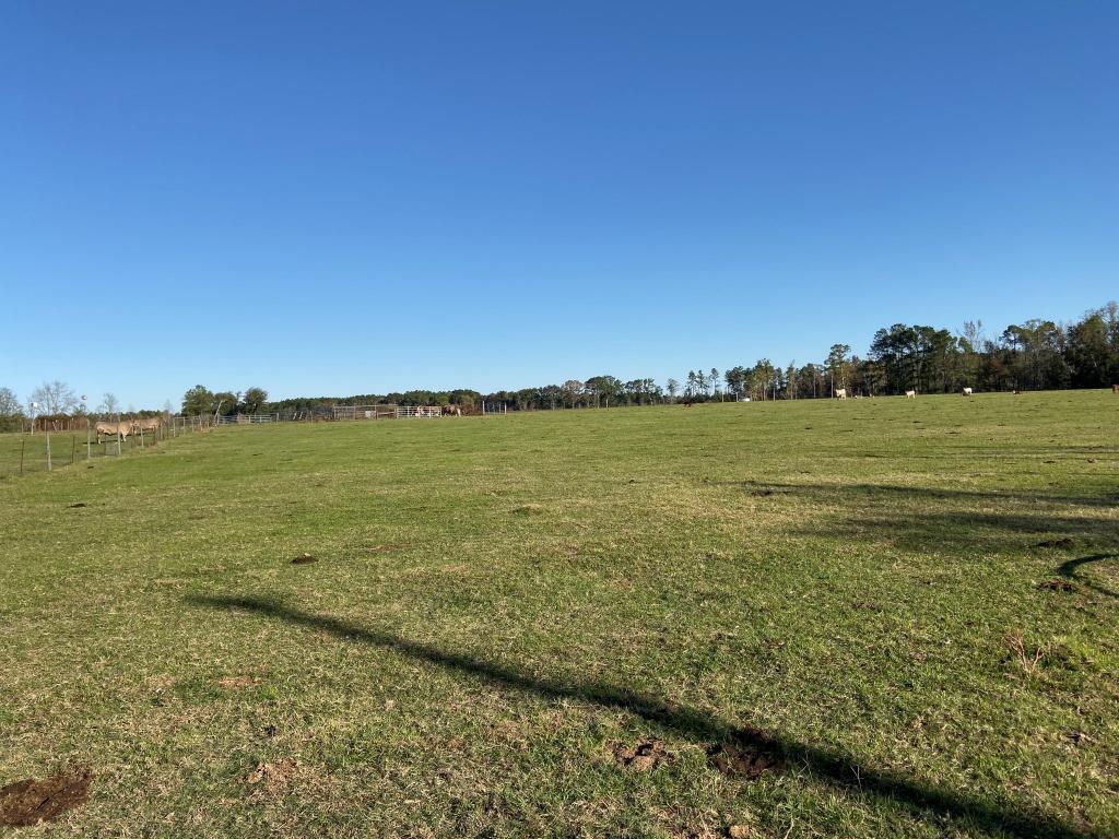 Seaborn Farm Photo