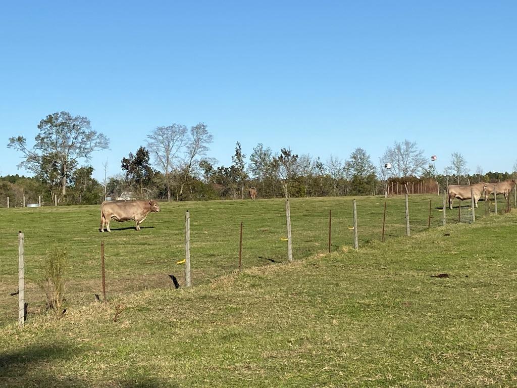 Seaborn Farm Photo