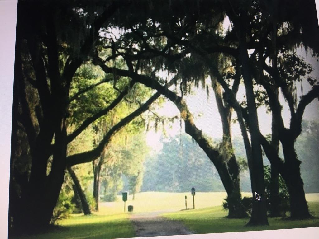 Marsh front Lot Sutherland Bluff Plantation Photo