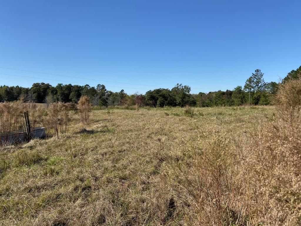 Quail Road Cattle Farm Photo