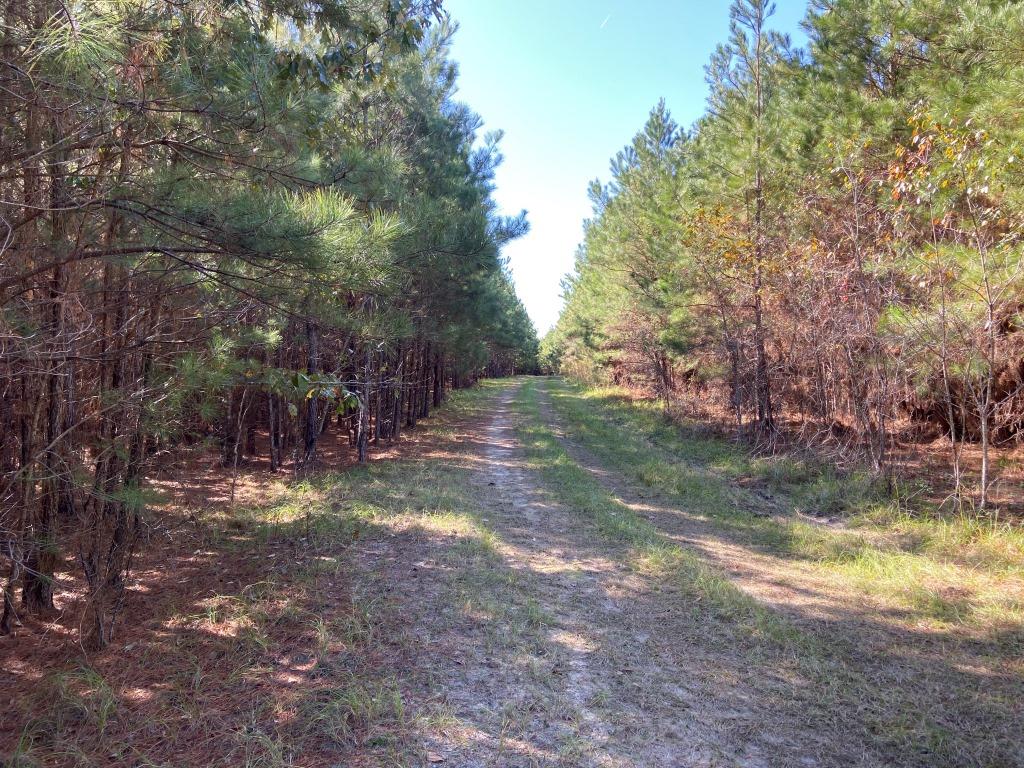 Quail Road Cattle Farm Photo