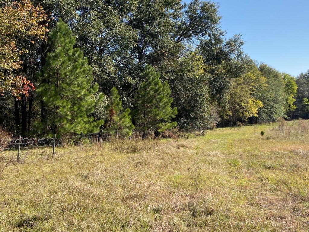 Quail Road Cattle Farm Photo