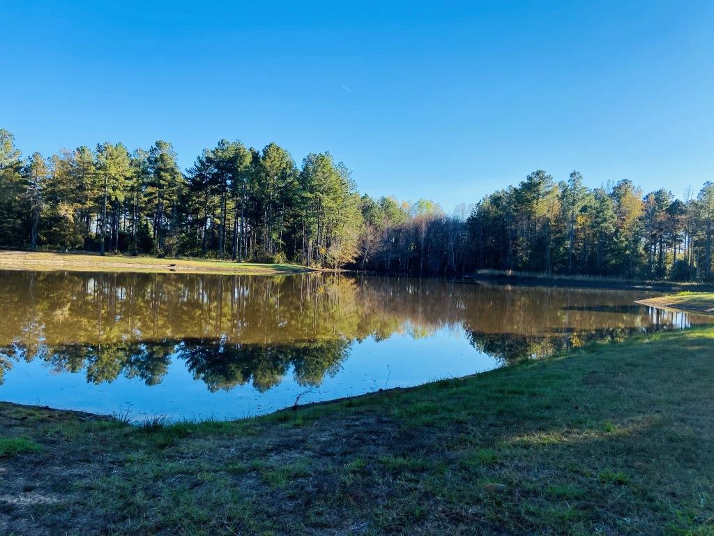 Bobwhite Pines Photo