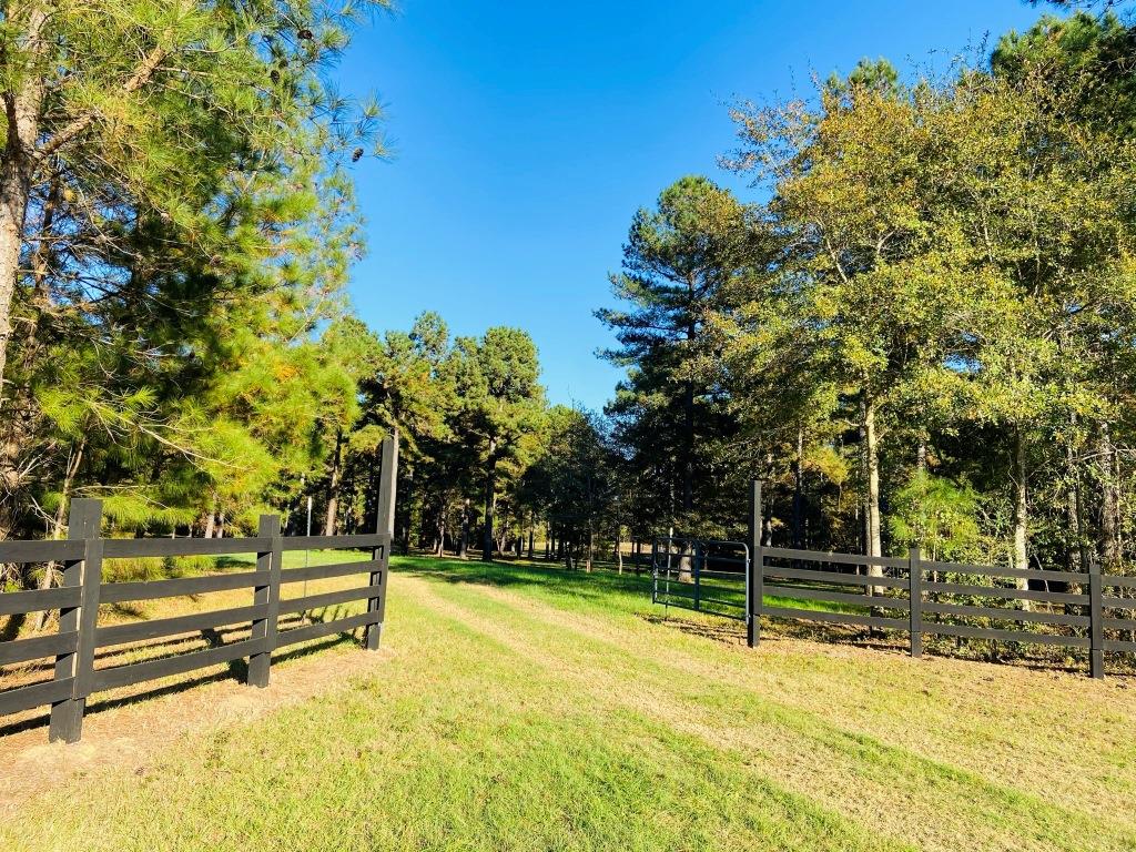 Bobwhite Pines Photo