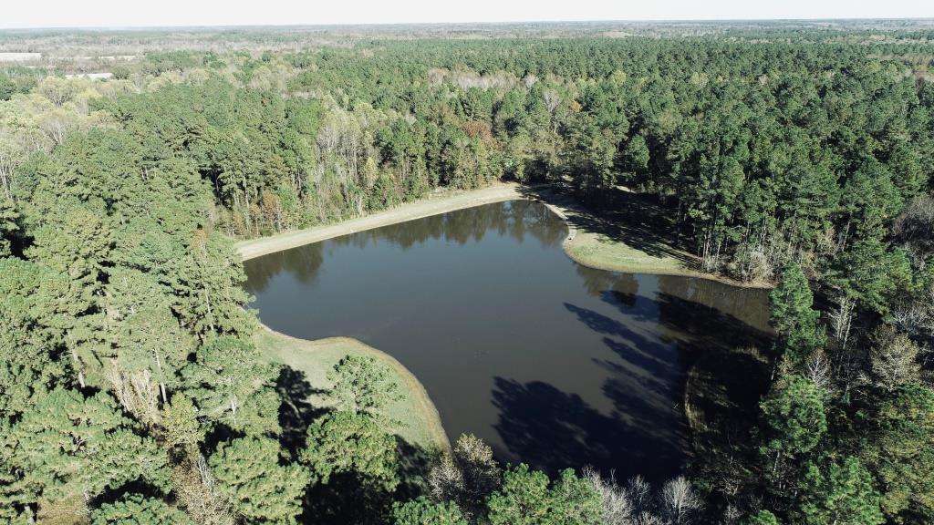 Bobwhite Pines Photo