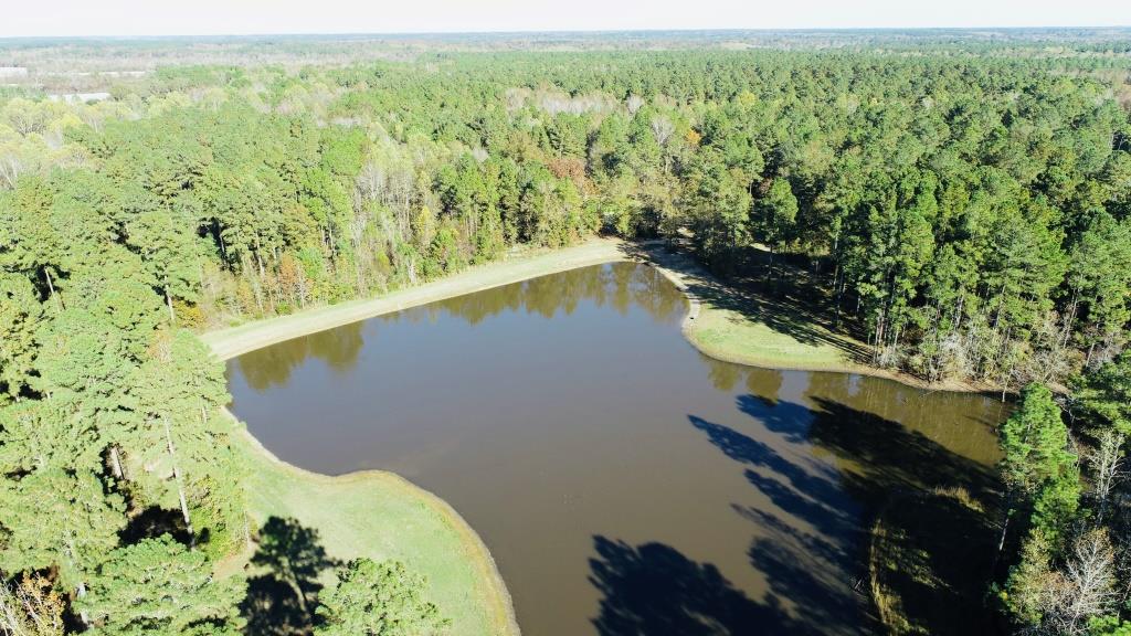 Bobwhite Pines Photo