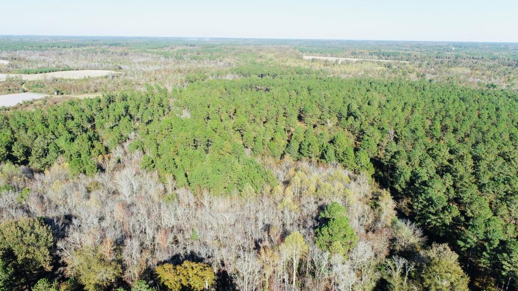 Bobwhite Pines Photo