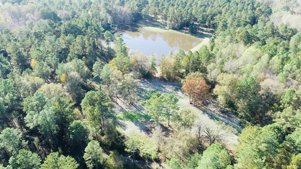 Bobwhite Pines Photo