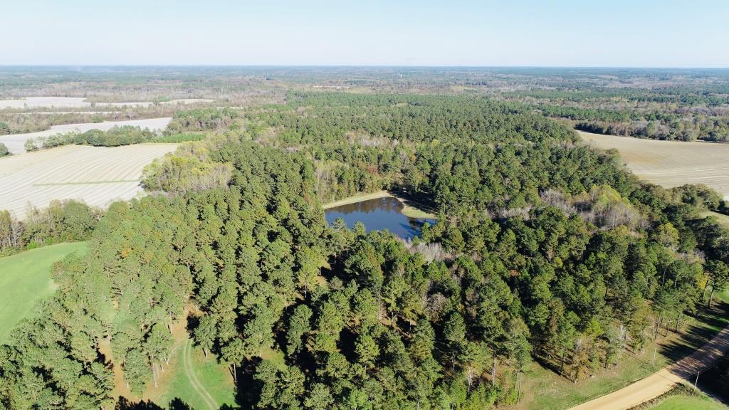 Bobwhite Pines Photo