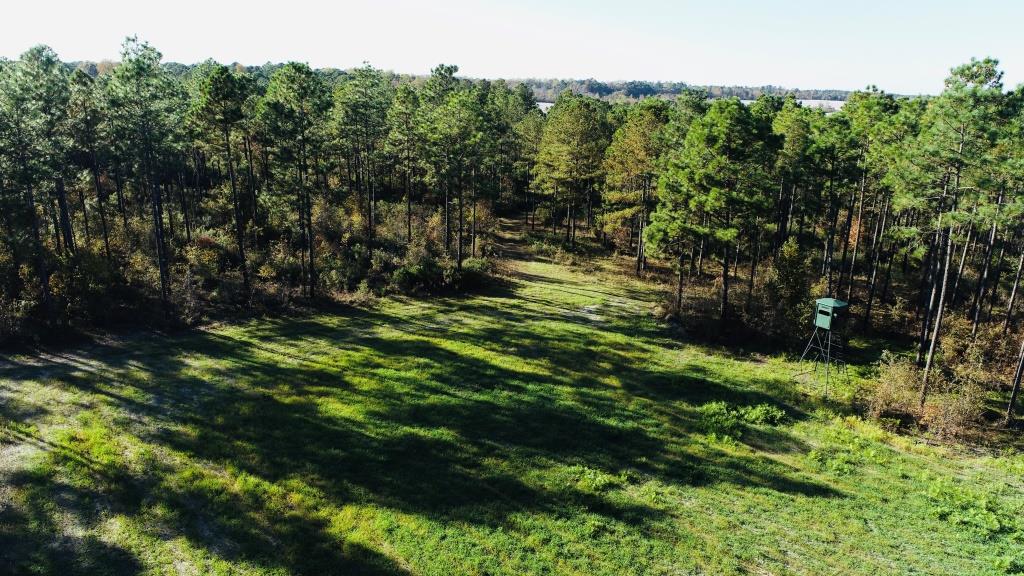 Bobwhite Pines Photo