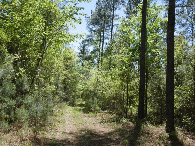 Brooklet Hideaway Photo