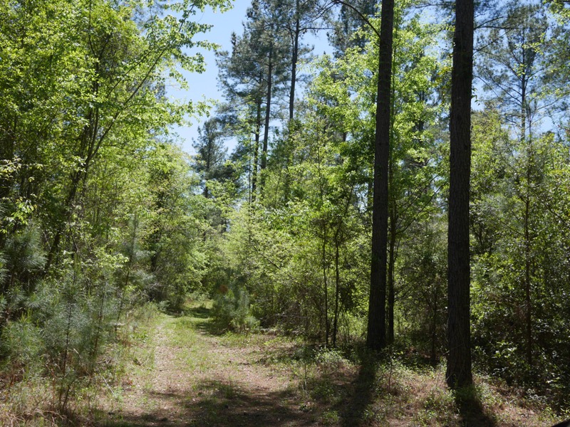 Brooklet Hideaway Photo