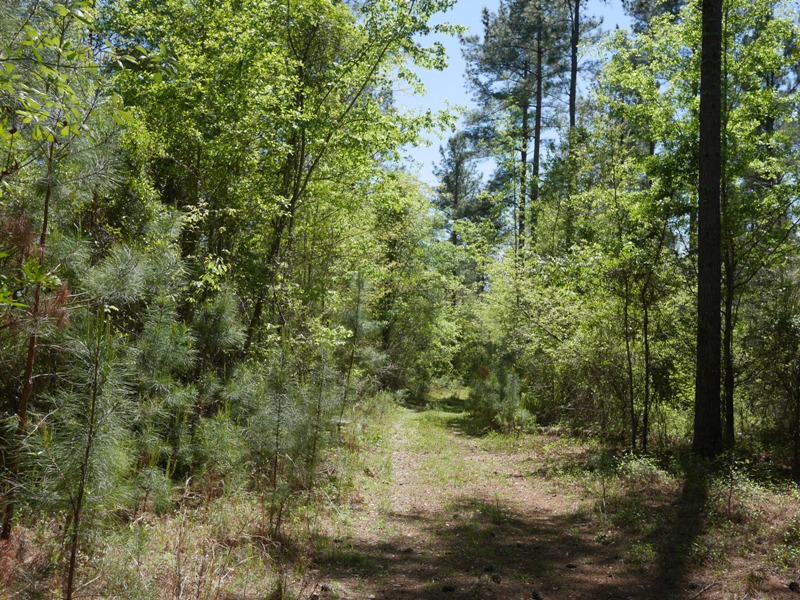 Brooklet Hideaway Photo